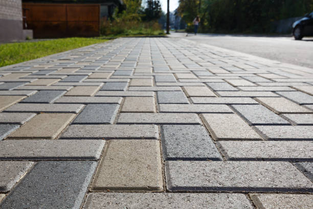 Best Driveway Paving Contractor  in South Greeley, WY