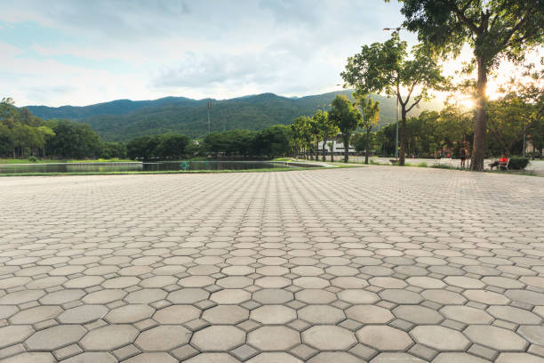 Best Brick Driveway Pavers  in South Greeley, WY